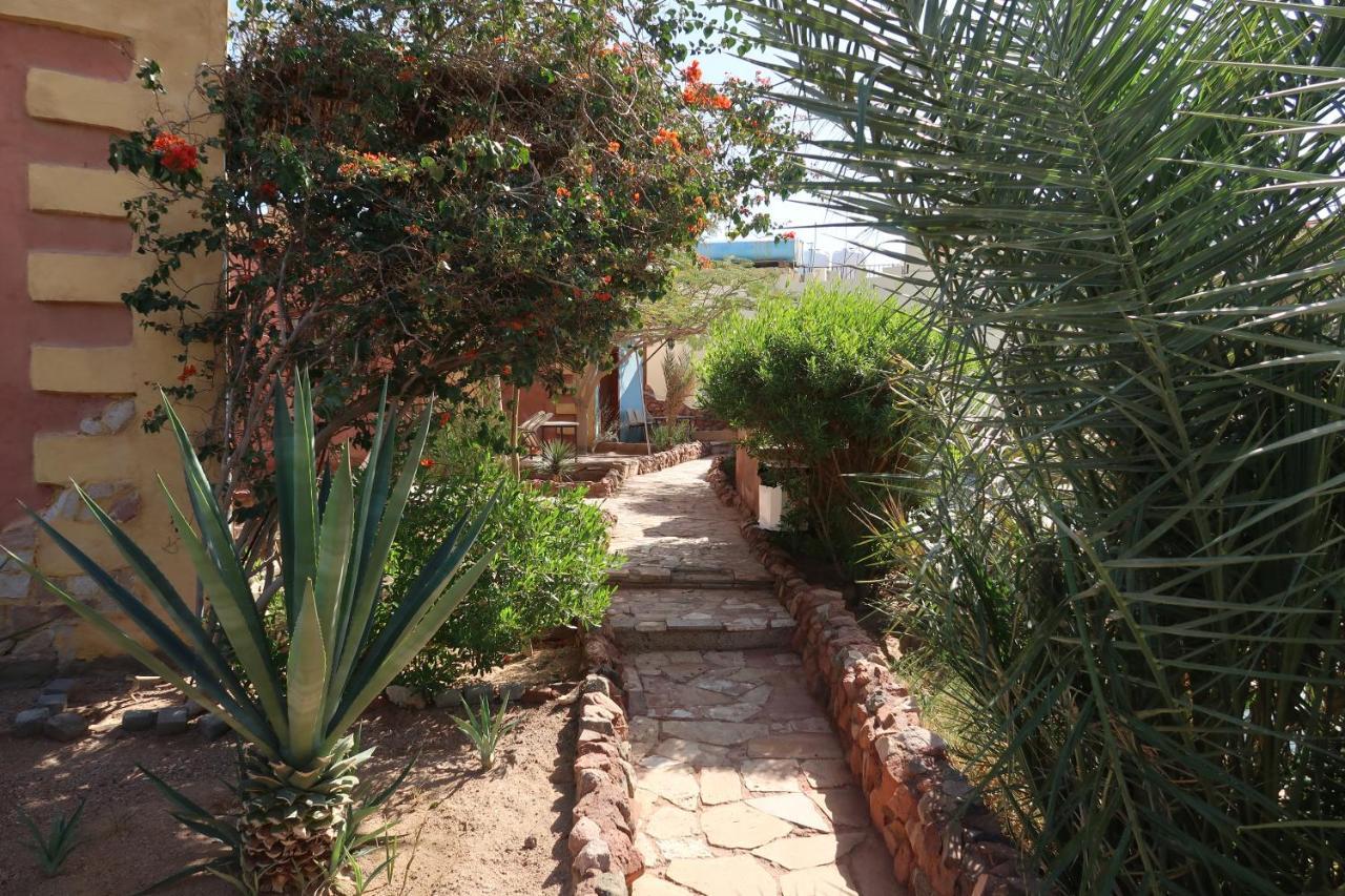 Bedouin Moon Village - Aqaba Al Burj Exterior photo